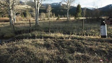 Setkání s medvědem #45