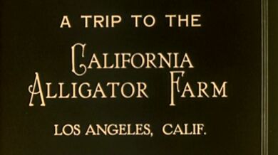Aligátoří farma v L.A. (1927)