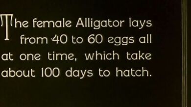 Aligátoří farma v L.A. (1927)