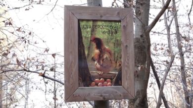 Italský chovatel slepic