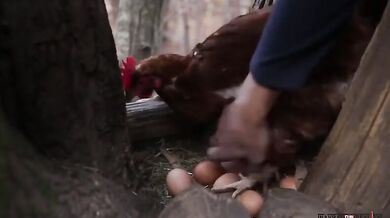 Italský chovatel slepic