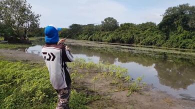 Ukradený úlovek #13