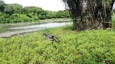 Ukradený úlovek #13