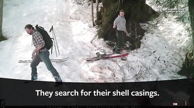 Ilegální lov medvědů