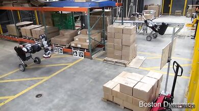 Robotický skladník