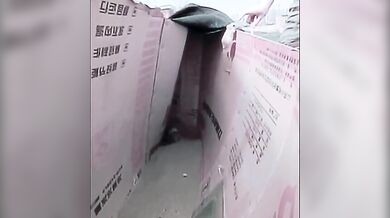 Podivná zvířata #1 - Tarbík