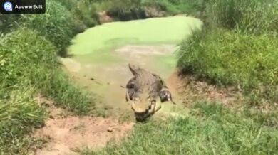 Australský kovboj Matt Wright (foto + video)