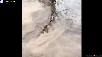 Australský kovboj Matt Wright (foto + video)