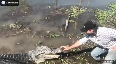 Australský kovboj Matt Wright (foto + video)