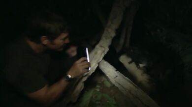 Podivná zvířata #2 - Ksukol ocasatý