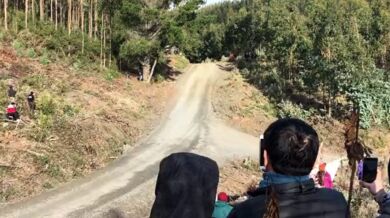 Nehoda Thierryho Neuvilla