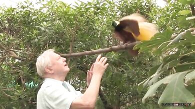 Pták ruší natáčení