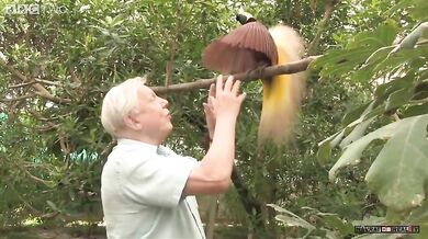 Pták ruší natáčení