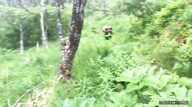 Setkání s medvědem #48