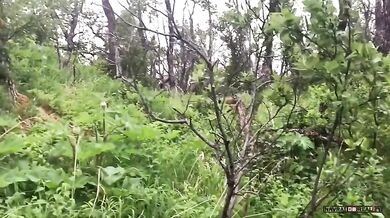 Setkání s medvědem #48