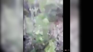 Setkání s medvědem #49