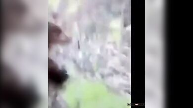 Setkání s medvědem #49