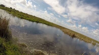 Překvapení na rybách