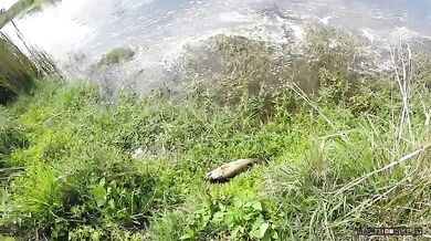 Překvapení na rybách