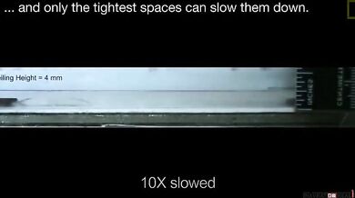 Nezničitelní švábi