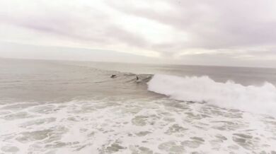 Surfování s delfíny