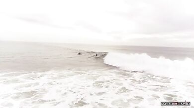 Surfování s delfíny