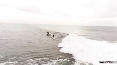 Surfování s delfíny