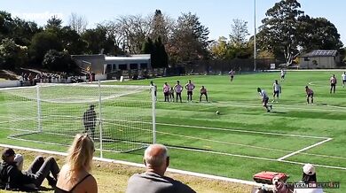 Povedený vlastní gól