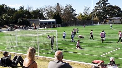 Povedený vlastní gól