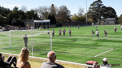 Povedený vlastní gól