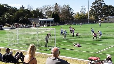 Povedený vlastní gól