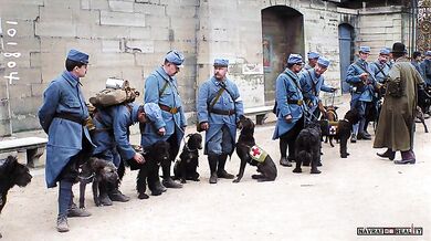 První světová válka #2