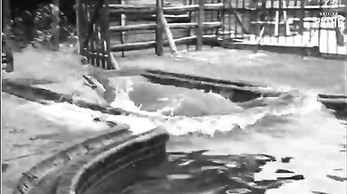 Chlouba berlínské zoo (1931)