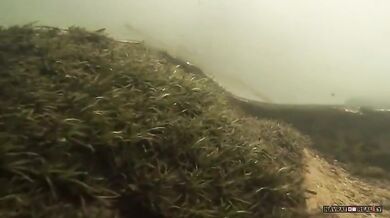 Setkání s anakondou