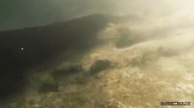 Setkání s anakondou