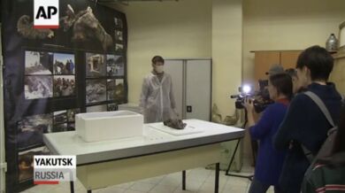 Nejstarší štěně na světě