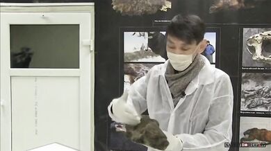 Nejstarší štěně na světě