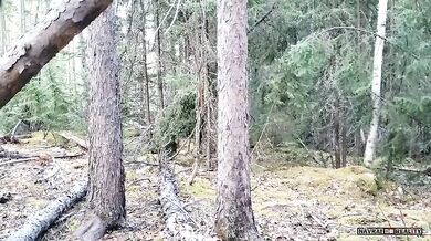 Setkání s medvědem #56