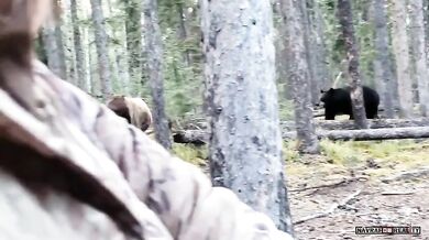 Setkání s medvědem #56