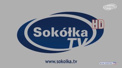 Mládě vyhozené z hnízda