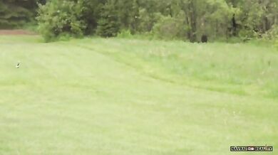 Medvěd vs. skunk