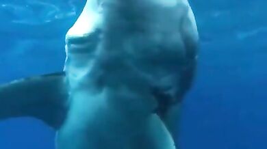 Setkání se žralokem #30